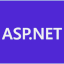 ASP.NET Runtime